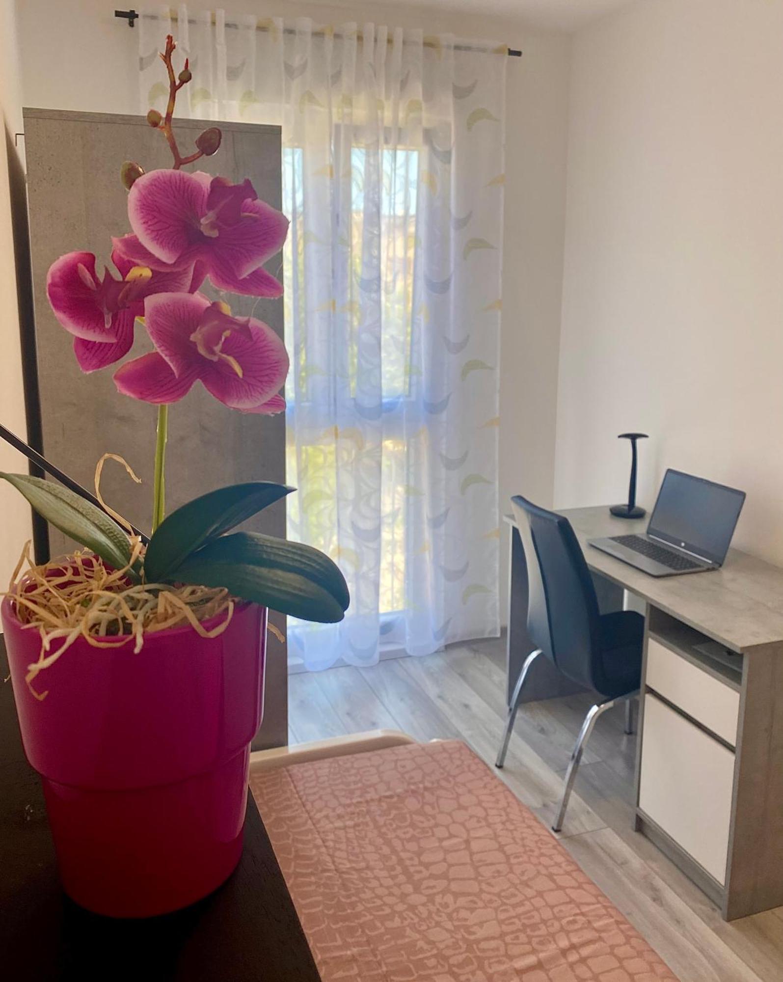Ema Apartment Pula Extérieur photo
